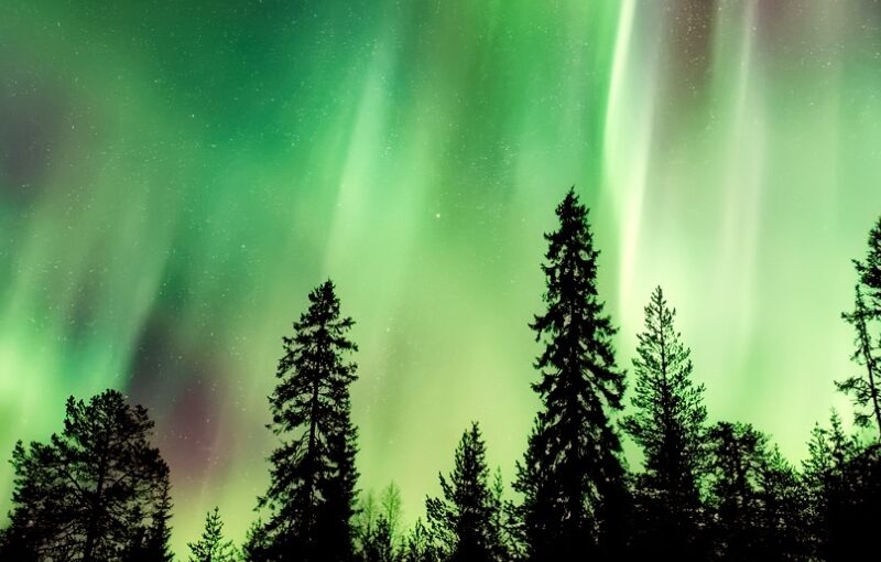 Auroras Noruega