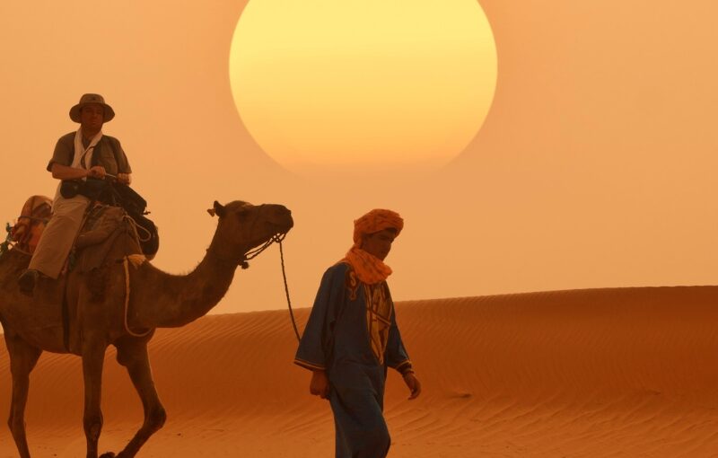 Camellos en Marruecos