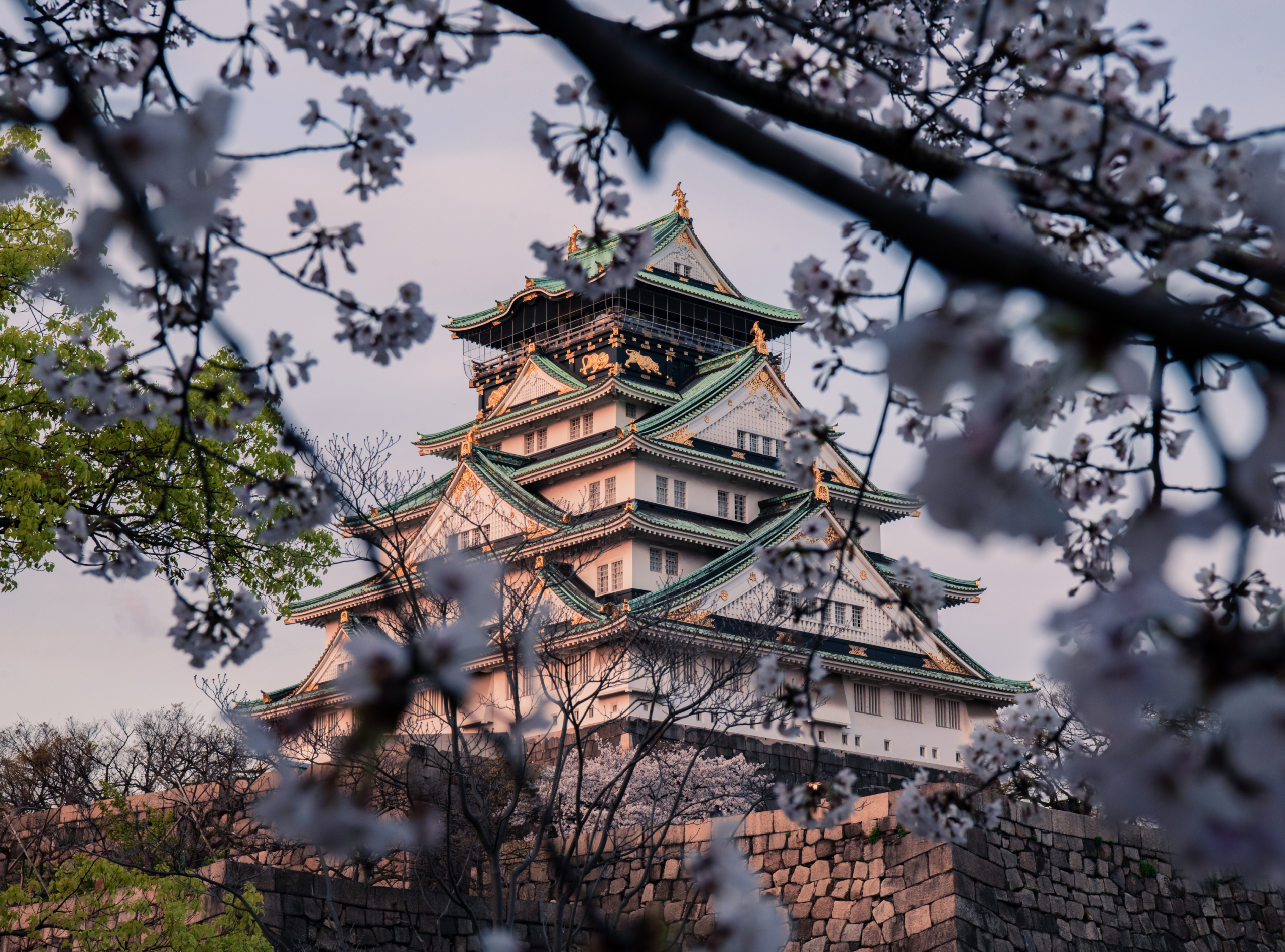 osaka arquitectura